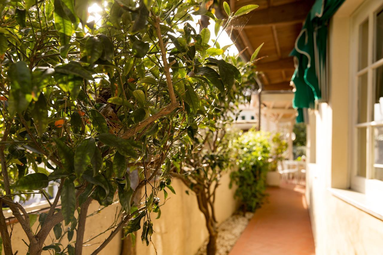 Hotel Corallo Pomonte Extérieur photo